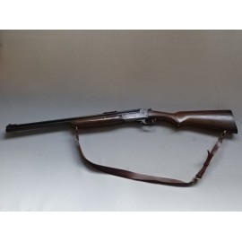 Savage 24 Hagel/Kogel .20/.22LR used