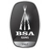 BSA